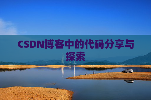 CSDN博客中的代码分享与探索